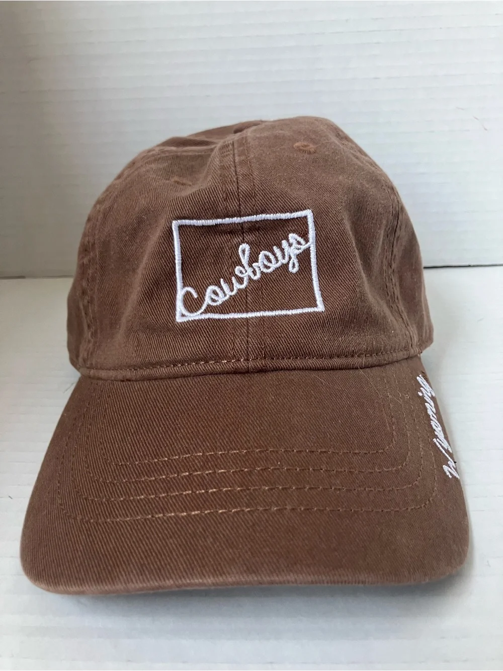 Wyoming Cowboys Embroidered Brown Baseball Cap Adjust Clip University UW Laramie